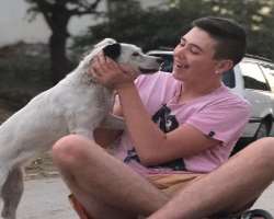 He is an animal lover and has a pet dog.